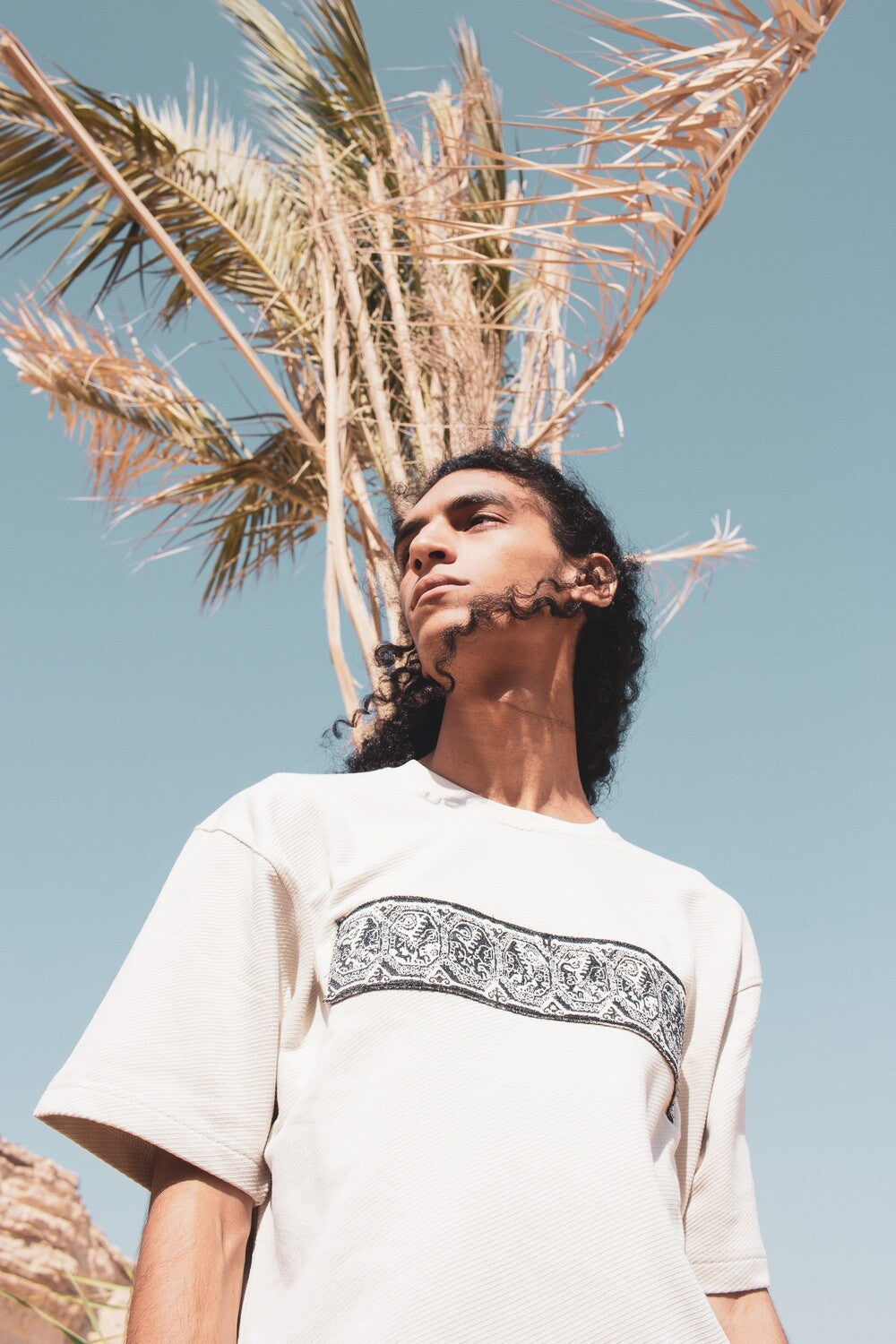 Men's Embroidered Tshirt (Lions)