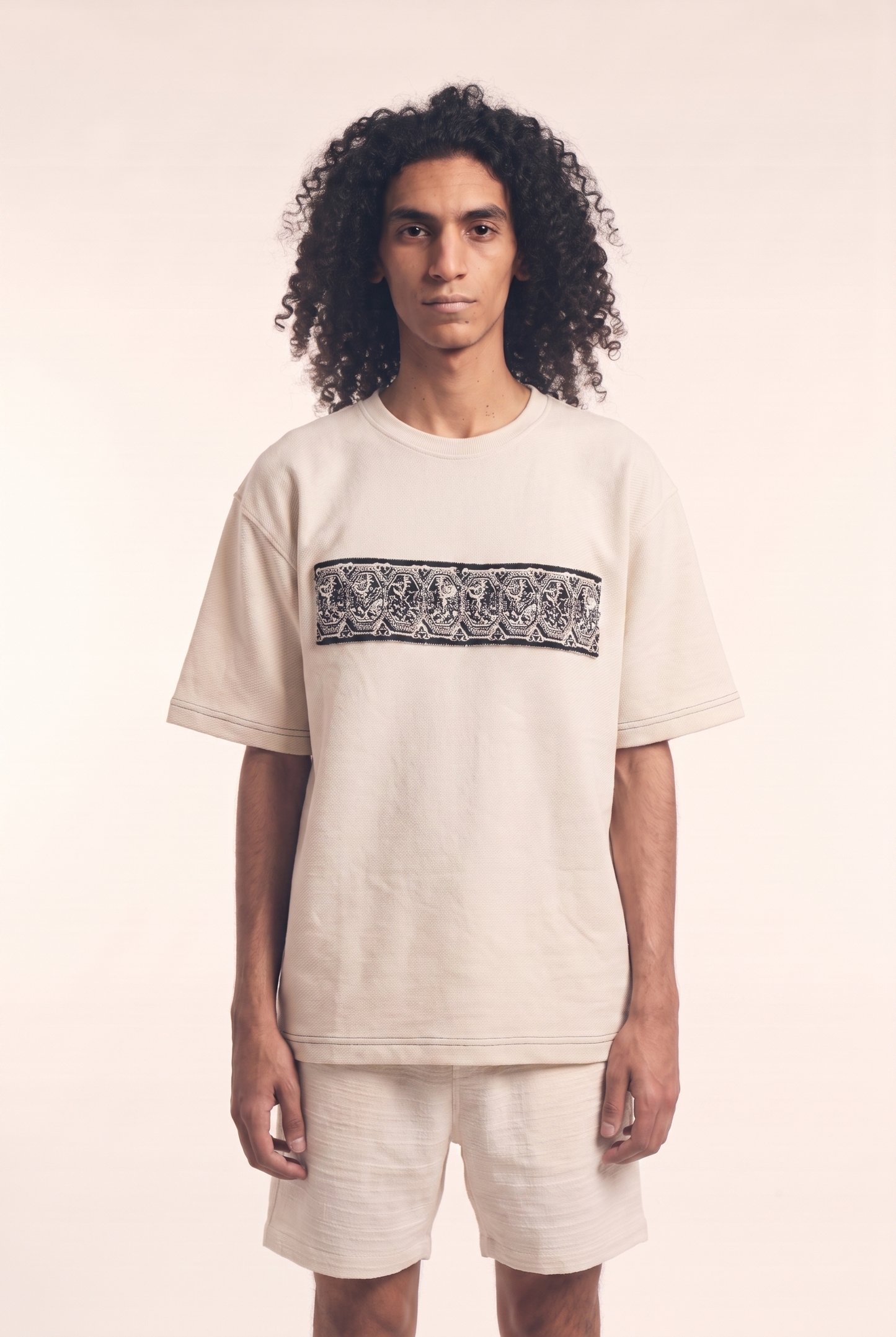 Men's Embroidered Tshirt (Lions)